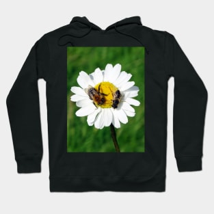 Table ForTwo Please Hoodie